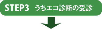 うちエコ診断の受診